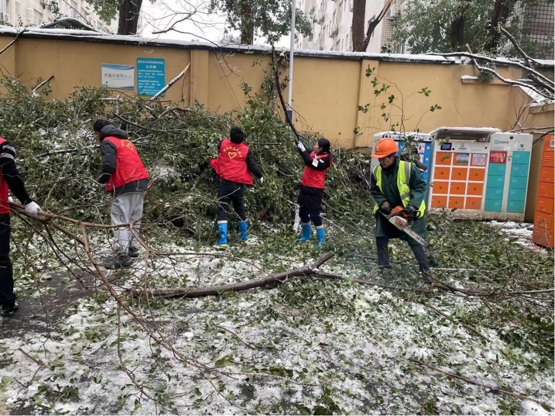 尊时凯龙·Z6(中国区)人生就是拼搏!