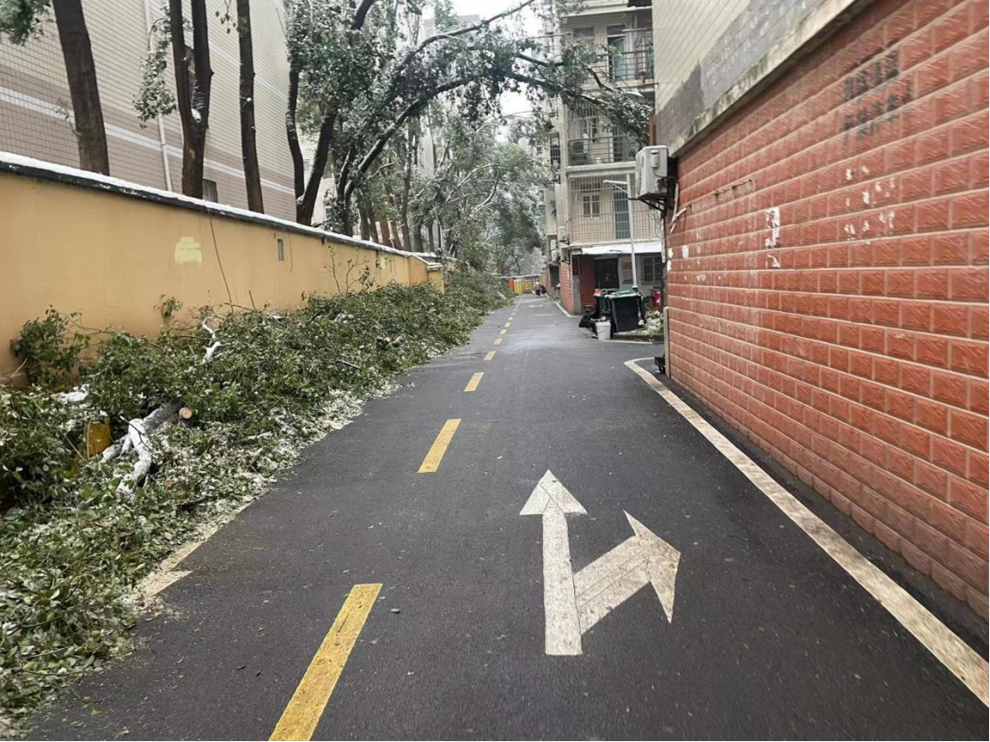 尊时凯龙·Z6(中国区)人生就是拼搏!