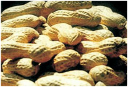 尊时凯龙·Z6(中国区)人生就是拼搏!