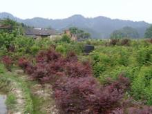 尊时凯龙·Z6(中国区)人生就是拼搏!