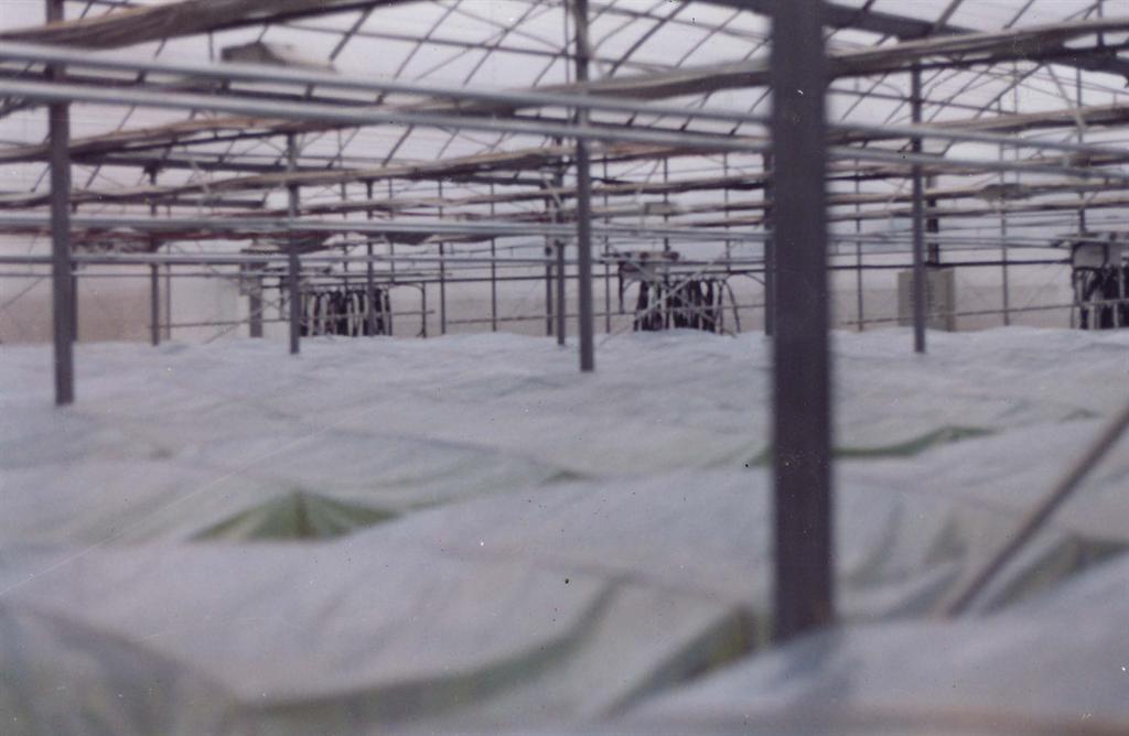 尊时凯龙·Z6(中国区)人生就是拼搏!