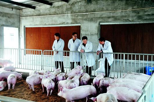 尊时凯龙·Z6(中国区)人生就是拼搏!