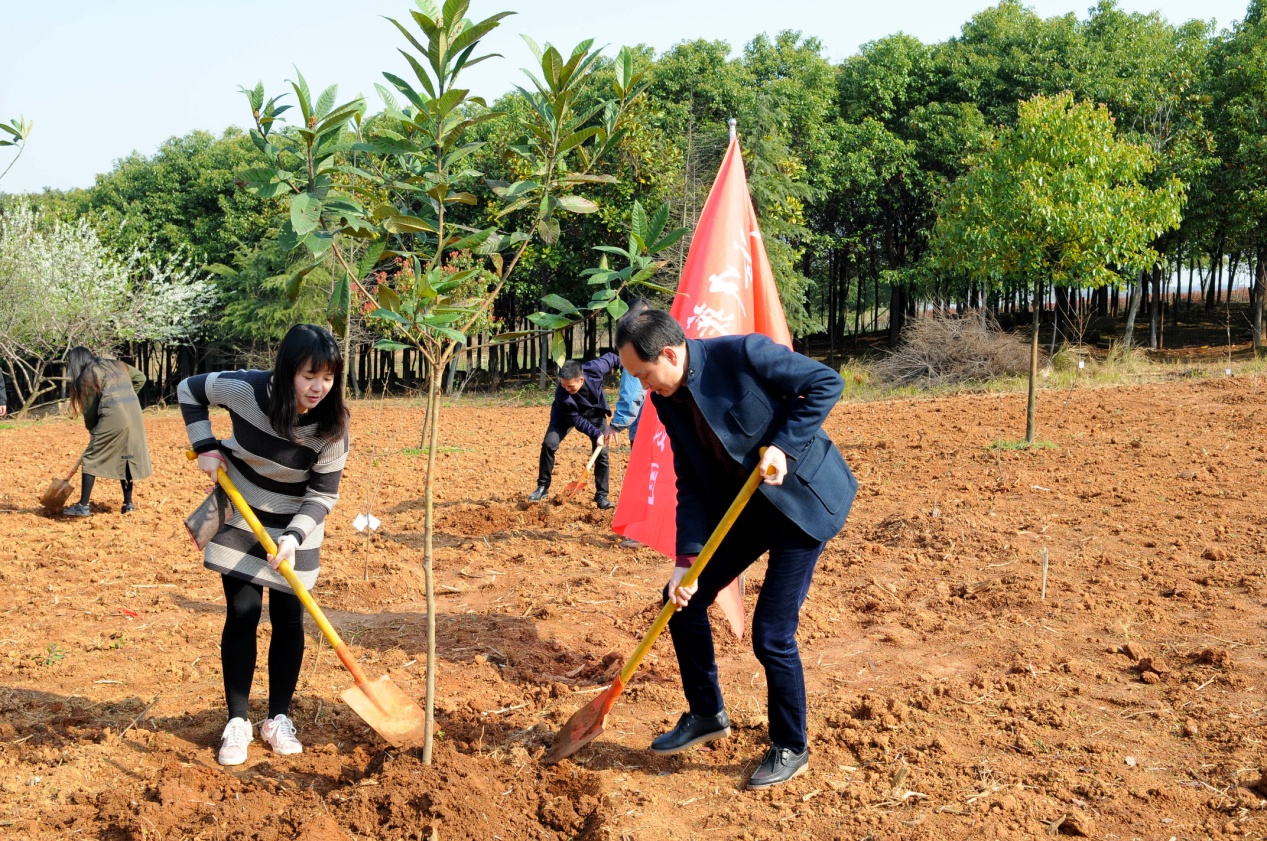 尊时凯龙·Z6(中国区)人生就是拼搏!