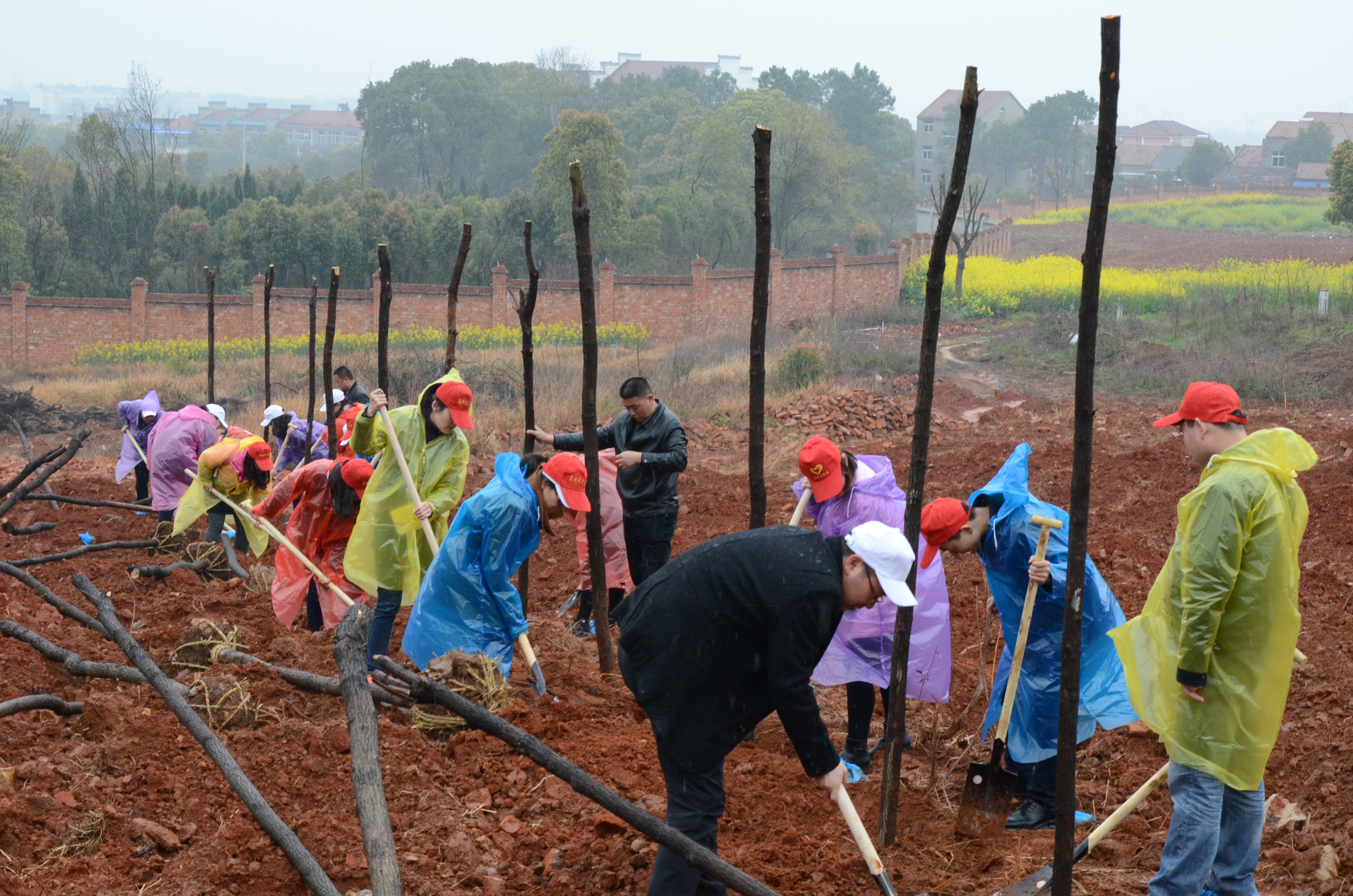 尊时凯龙·Z6(中国区)人生就是拼搏!