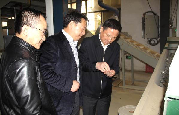 尊时凯龙·Z6(中国区)人生就是拼搏!