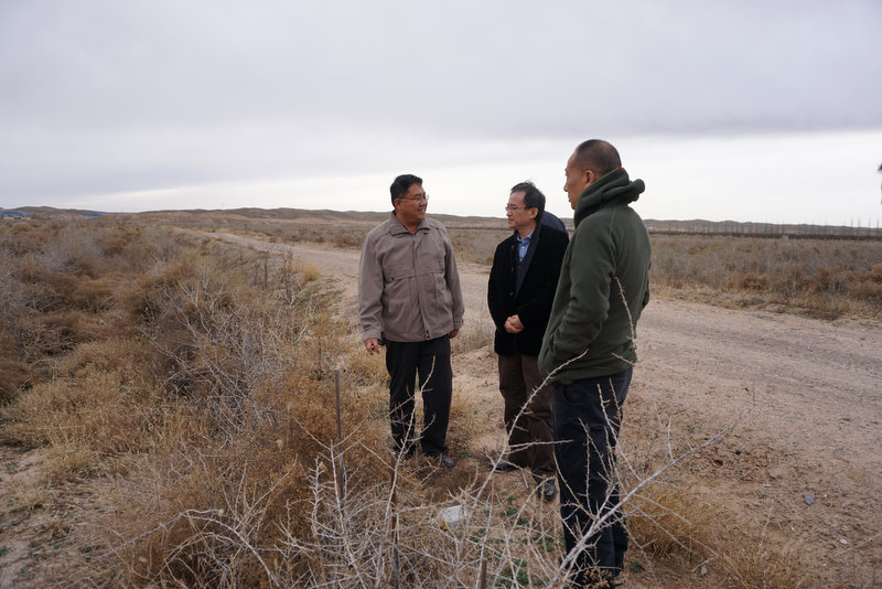 尊时凯龙·Z6(中国区)人生就是拼搏!